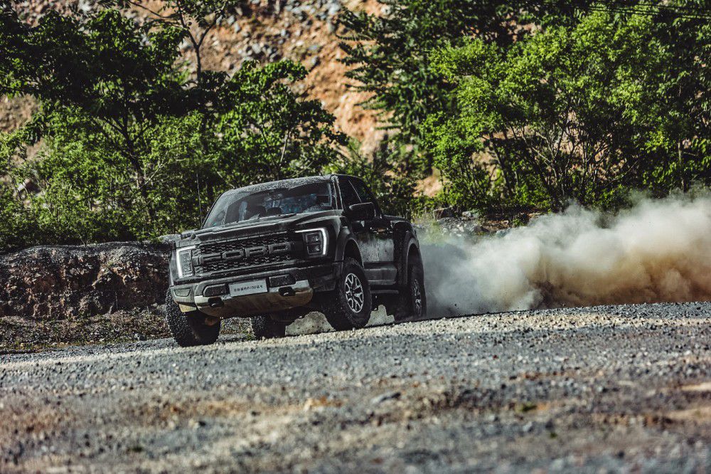 ԽҰƤ F-150ʽ