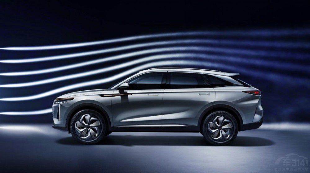 ;20f߶SUV(bio)U