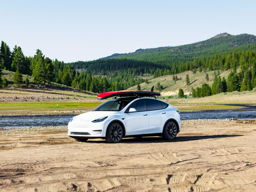 ЇModel Y{p
