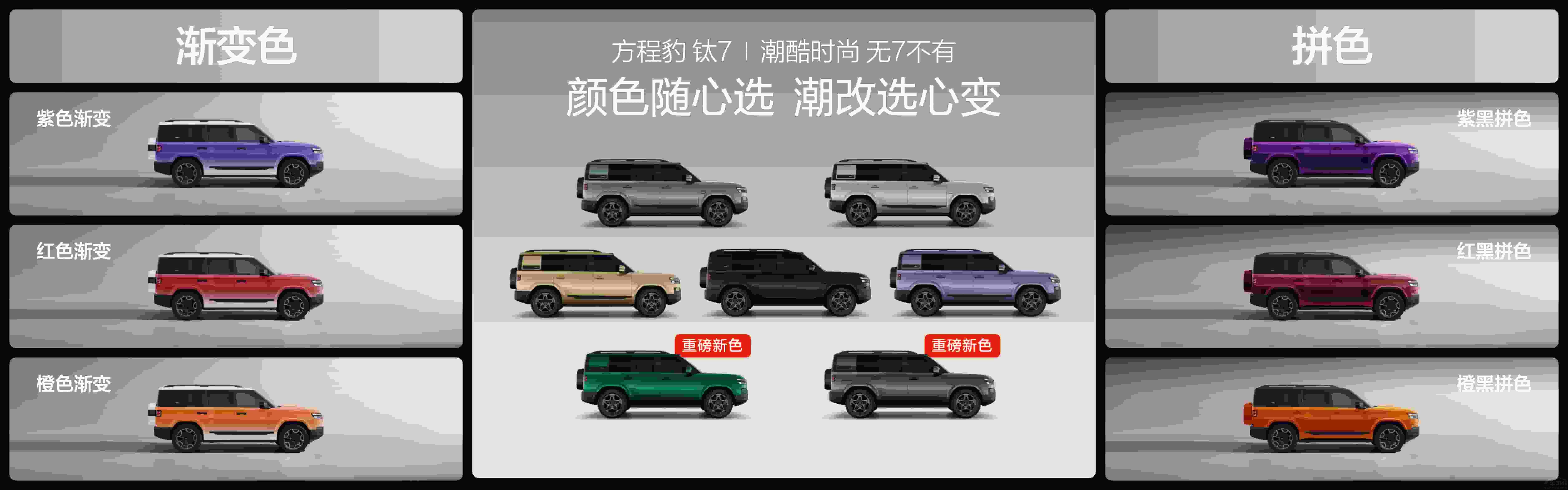 ȁϡ컨塱̱7